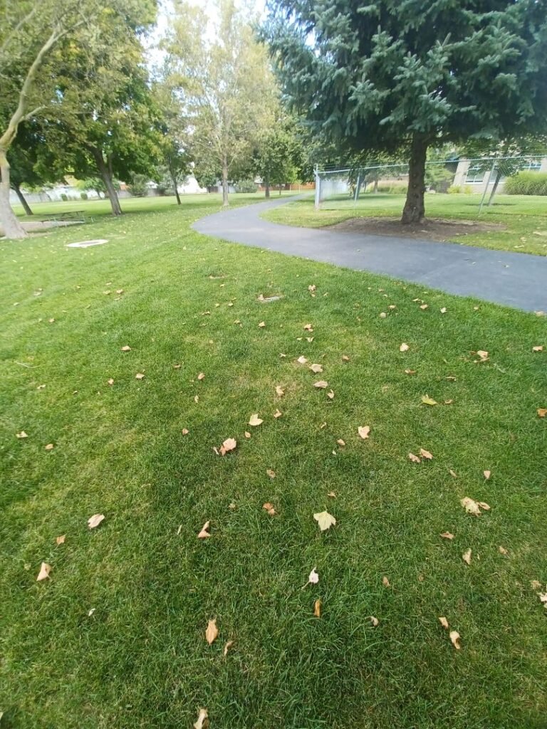 8th Street Park 7 768x1024