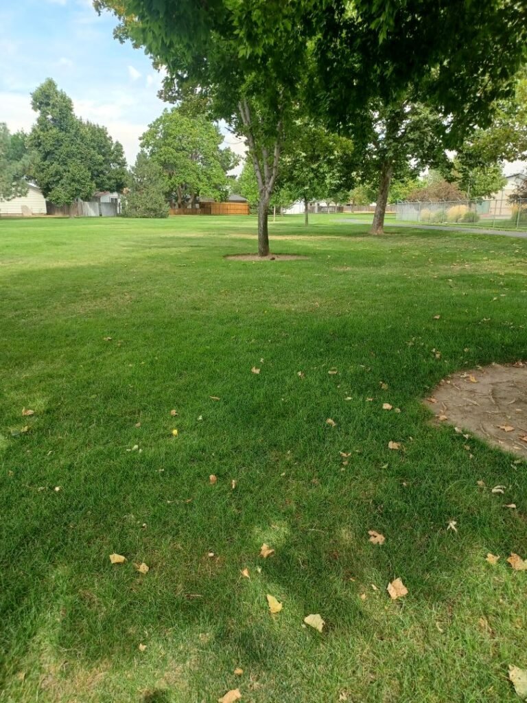 8th Street Park 9 768x1024