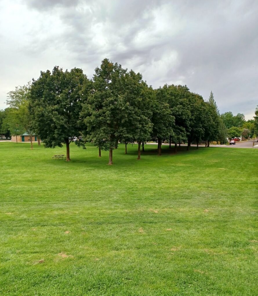 Ann Morrison Park Boise, Idaho large open area with green grass and mature trees.