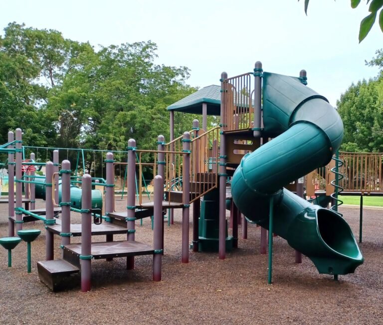 Camels Bark Park 1 768x651