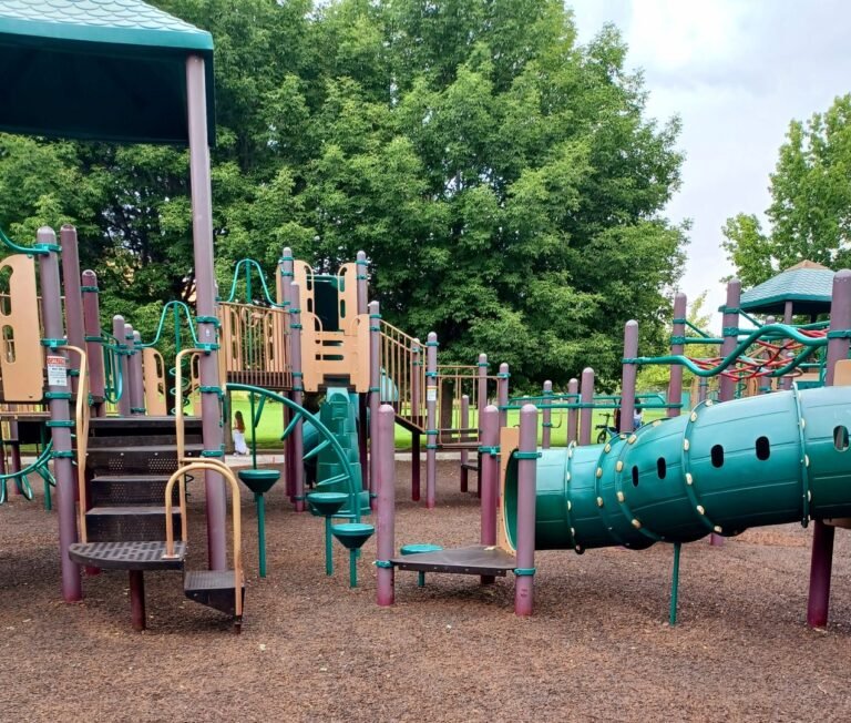 Camels Bark Park 4 768x652