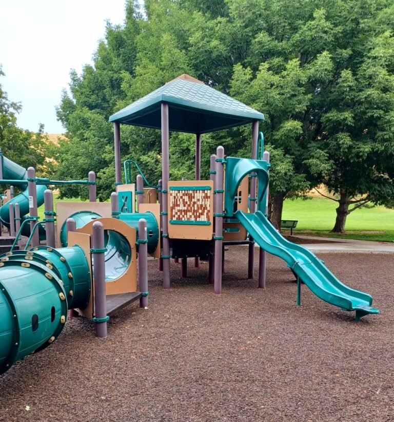 Camels Bark Park 7 768x824