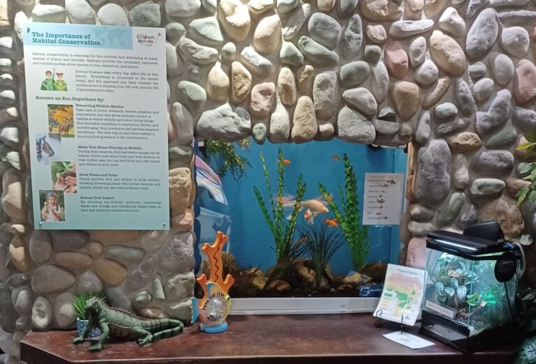 Childrens Museum of Idaho 20 768x522