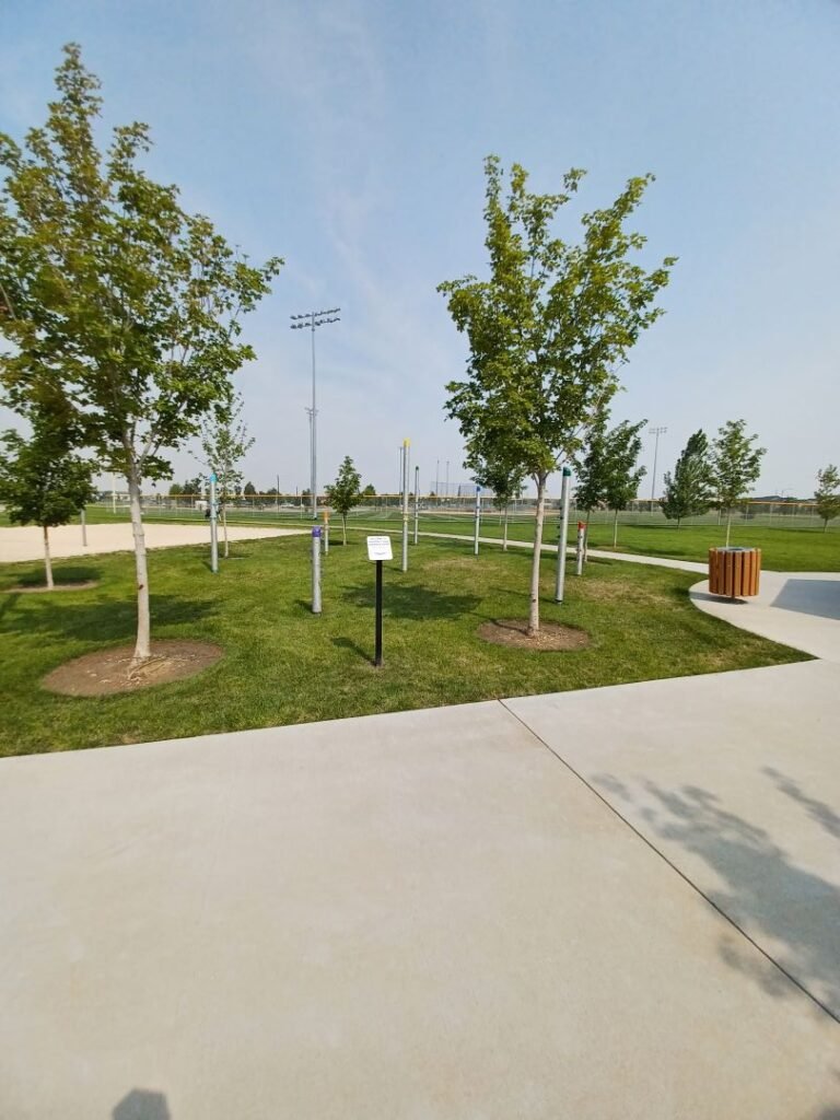Discovery Park Hammock Forest 1 768x1024