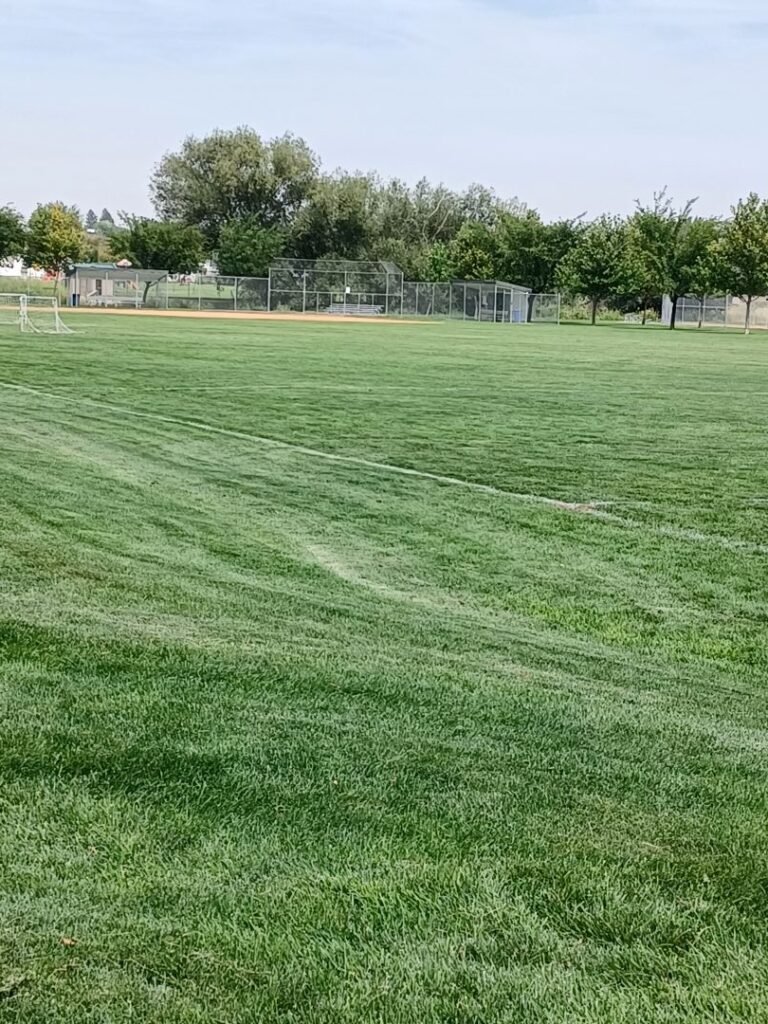 Foote Park 1 2 768x1024