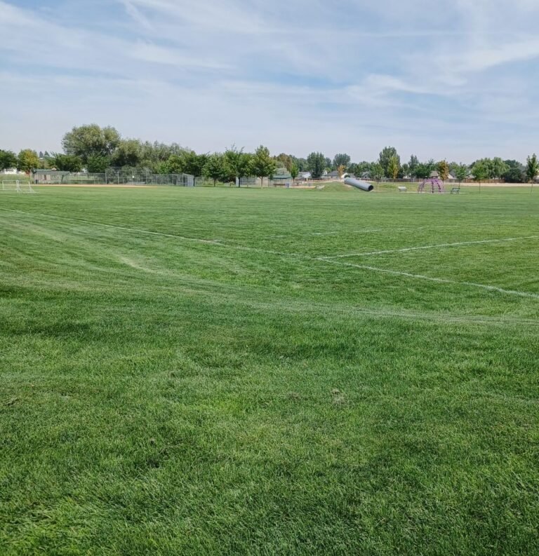 Foote Park 1 768x793