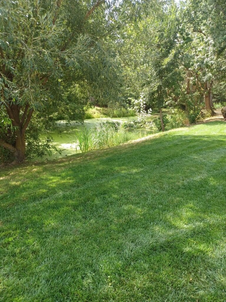Freedom Park 11 768x1024