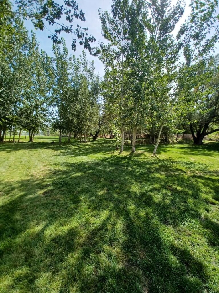 Freedom Park 14 768x1024