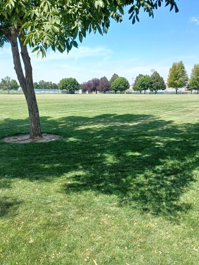 Gordon Harris Park 2 768x1024