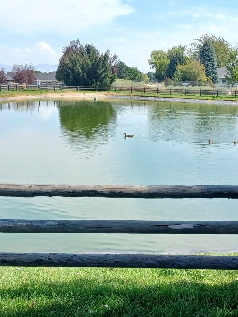 Gordon Harris Park 7 768x1024