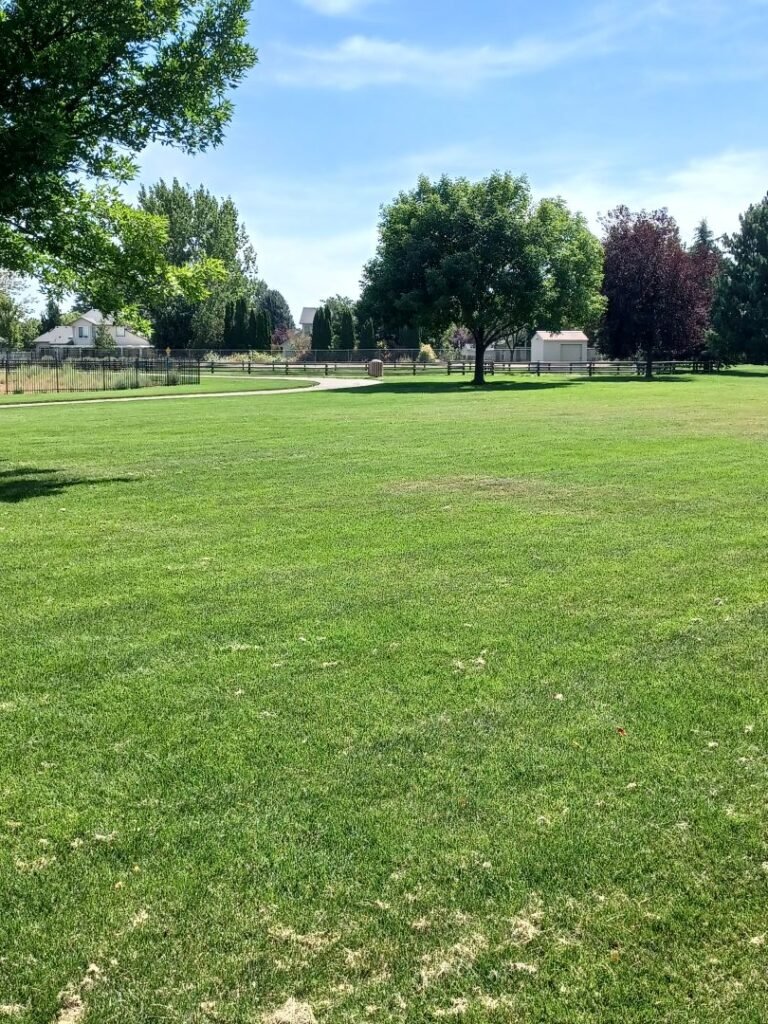 Gordon Harris Park 9 768x1024