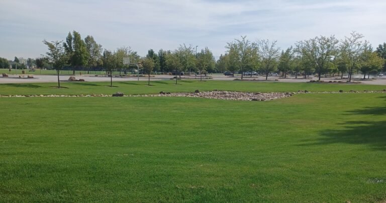 Heroes Park 20 768x403
