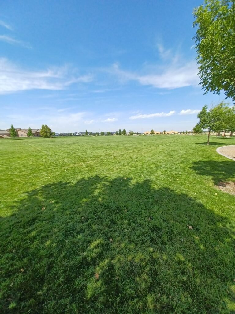 Hillsdale Park 8 768x1024