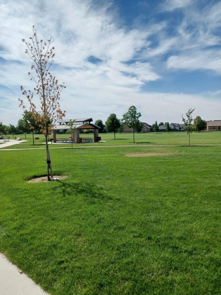 Hillsdale Park Sign 8 768x1024