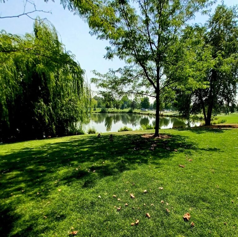Kleiner Memorial Park Fishing Pond  768x763