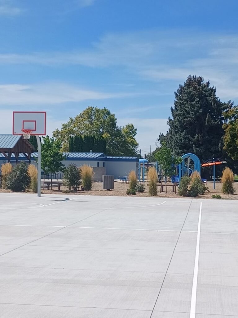 Lions Park 3 768x1024