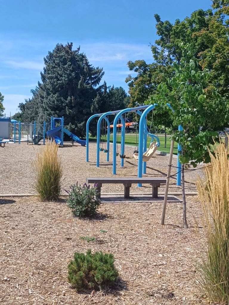 Lions Park 4 768x1024