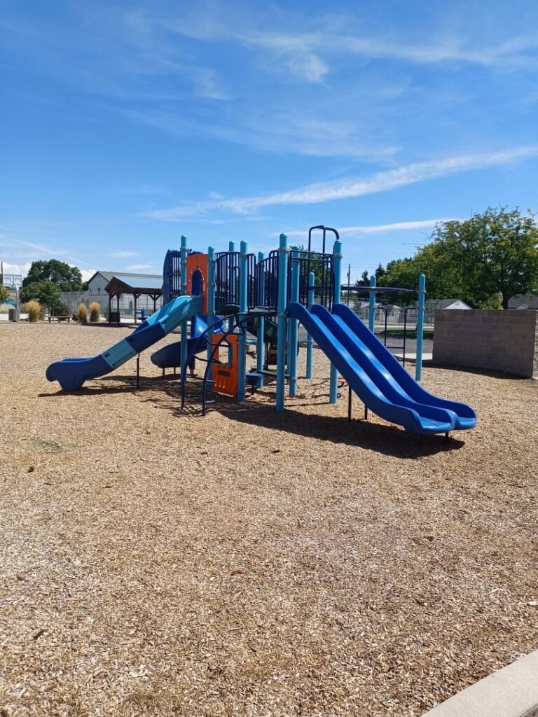 Lions Park 6 768x1024