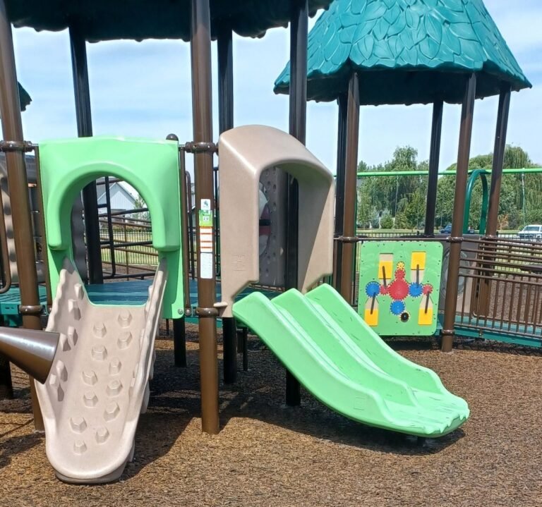 Pavilion Park Playground 6 768x719