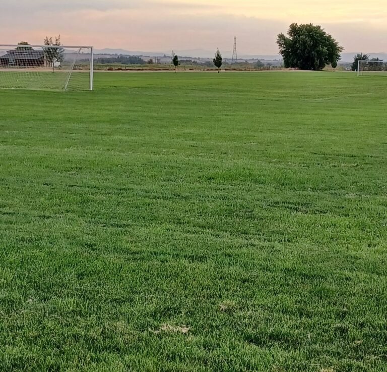 Payette River Sports Complex 2 768x737