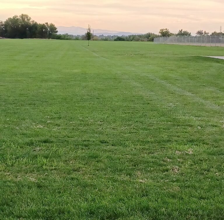 Payette River Sports Complex 3 768x755