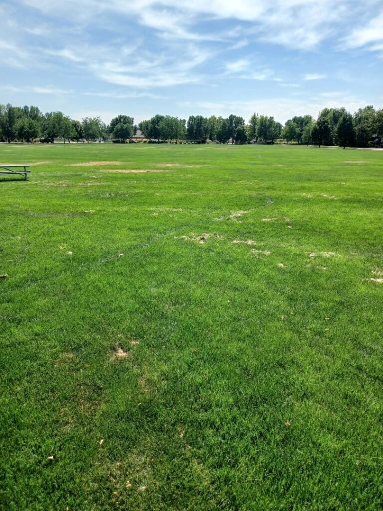 Renaissance Park 10 768x1024