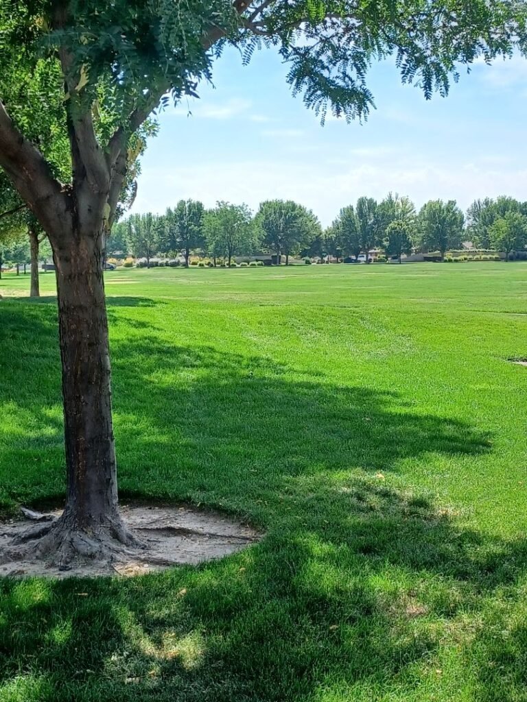 Renaissance Park 4 768x1024