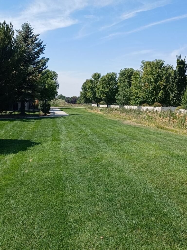 Renaissance Park 7 768x1024
