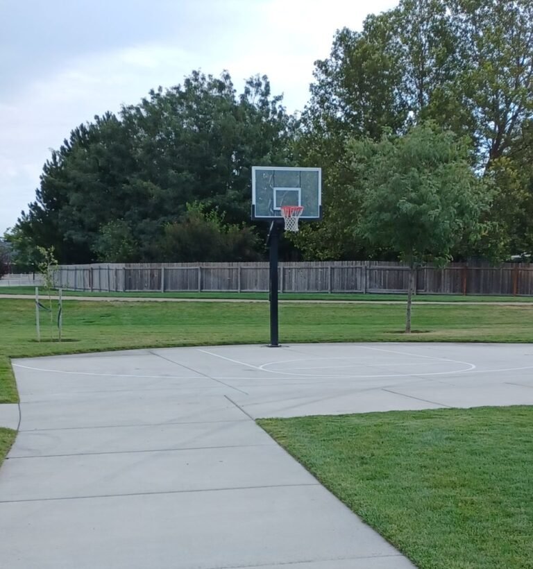 Reta Huskey Park BBall 768x820
