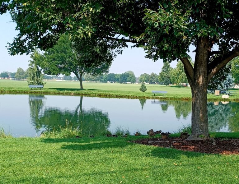 Settlers Park Fishing Pond 1 768x592