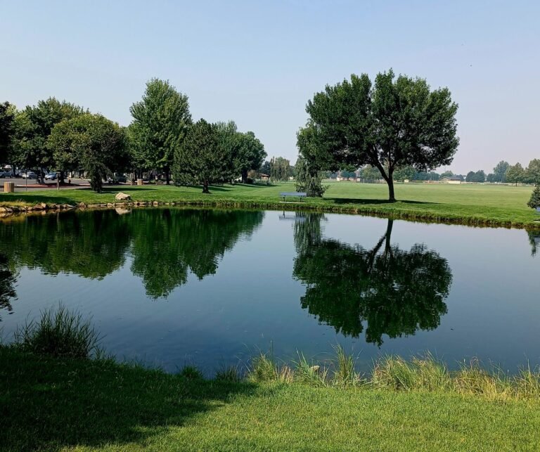 Settlers Park Fishing Pond 2 768x643