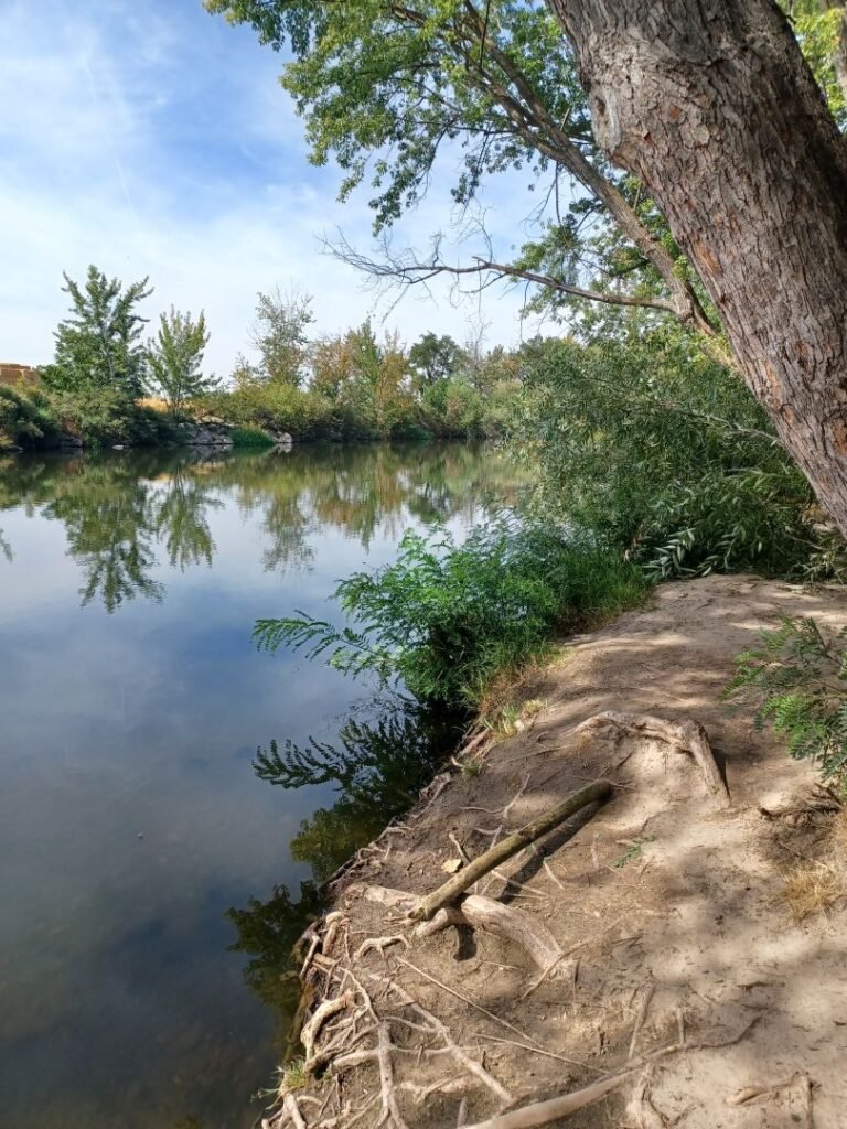 Star Riverwalk 10 768x1024