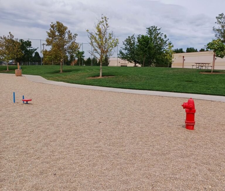 Story Bark Park 3 768x653