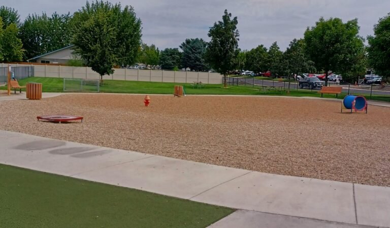 Story Bark Park 5 768x449