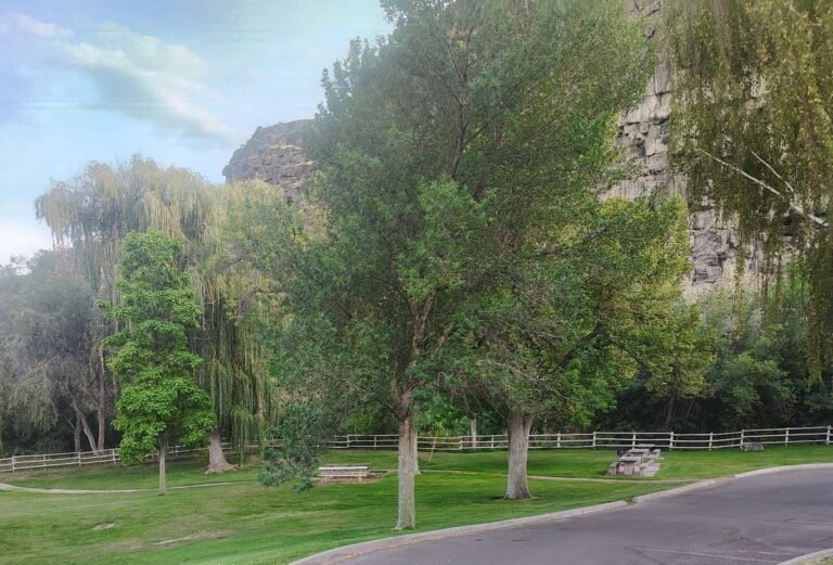 Twin Falls Park Idaho Power 3 768x521