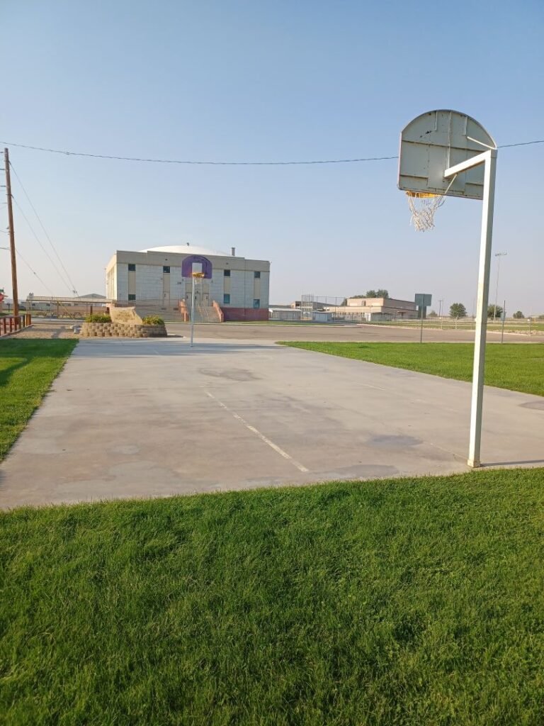 Wilder BBall 1 768x1024