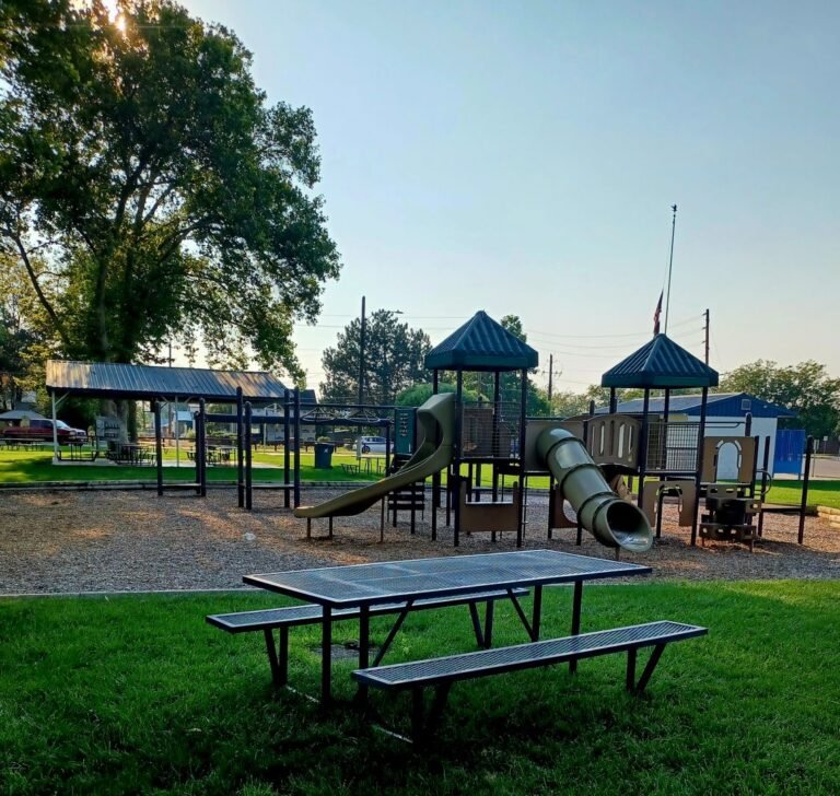 Wilder Playground 1 768x728