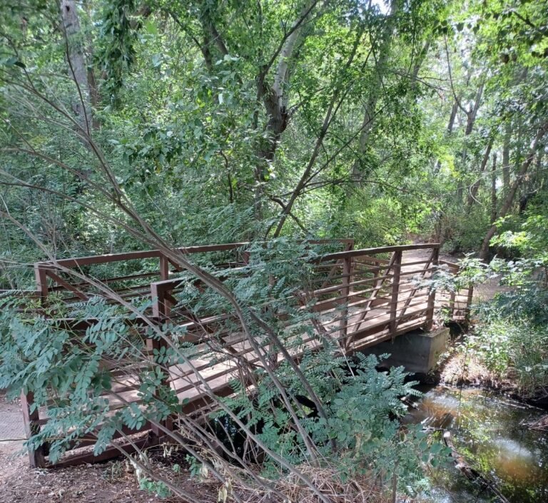 Wooden footbridge crossing a shaded creek along an Idaho walking trail