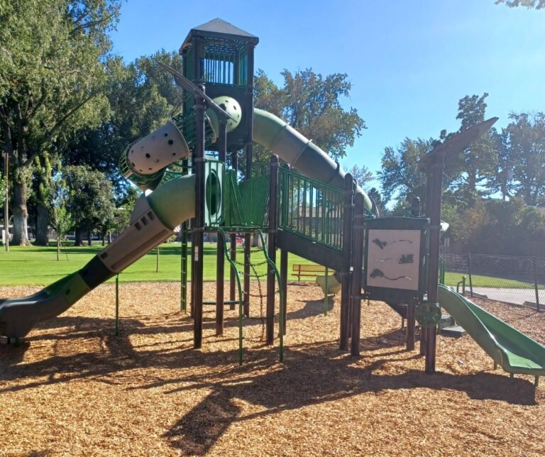 Playground slides beneath trees at Carl Miller Park Playground slides beneath trees at Carl Miller Park