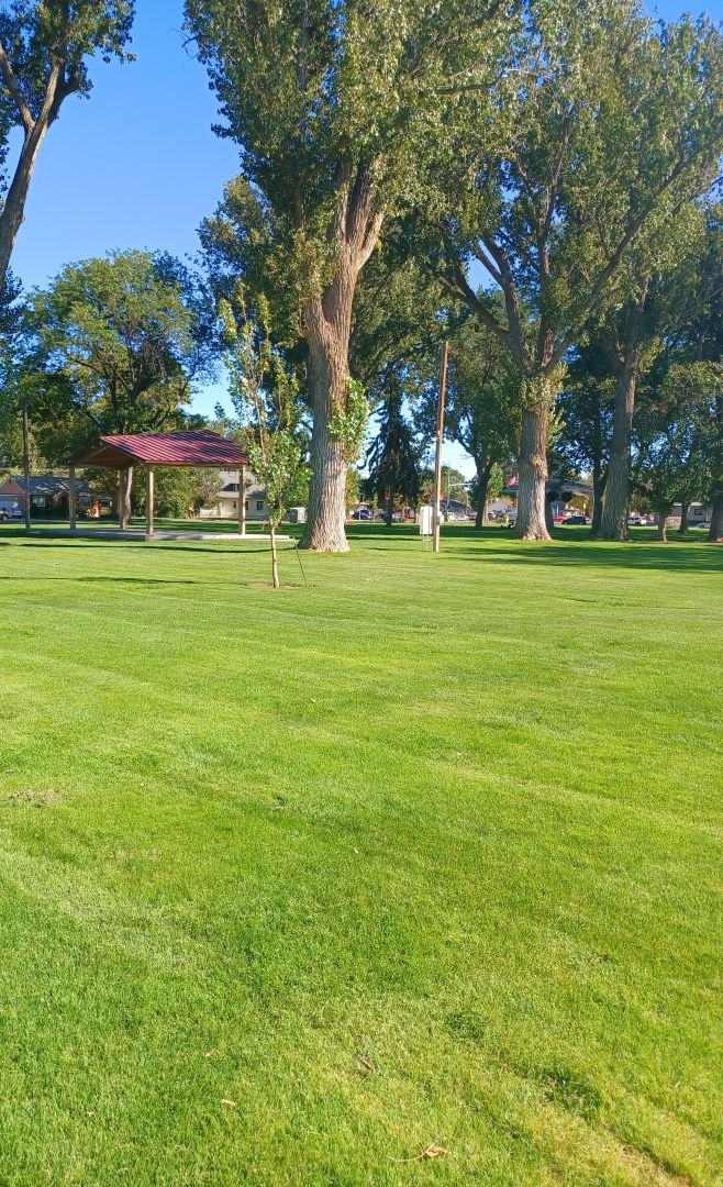 Open grassy lawn and shade trees at Carl Miller Park Open grassy lawn and shade trees at Carl Miller Park