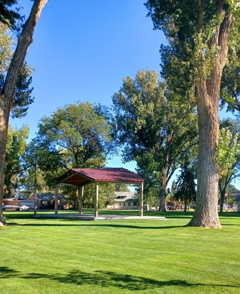Shady lawn and picnic shelter at Carl Miller Park Shady lawn and picnic shelter at Carl Miller Park