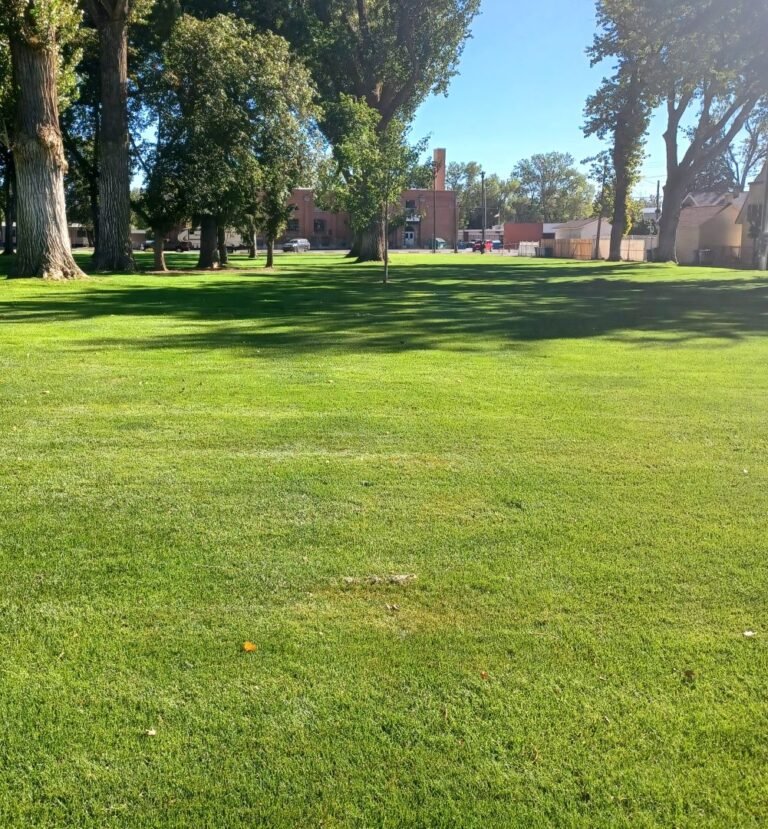 Open lawn for outdoor play at Carl Miller Park Open lawn for outdoor play at Carl Miller Park