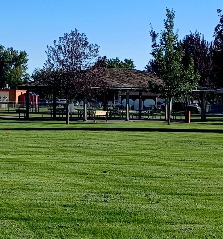 Covered picnic shelter at Richard Aguirre Park Covered picnic shelter at Richard Aguirre Park