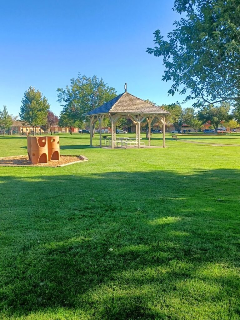 Picnic tables beside the open lawn at Richard Aguirre Park Picnic tables beside the open lawn at Richard Aguirre Park