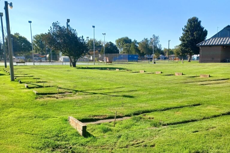 Open lawn and shade trees at Richard Aguirre Park Open lawn and shade trees at Richard Aguirre Park